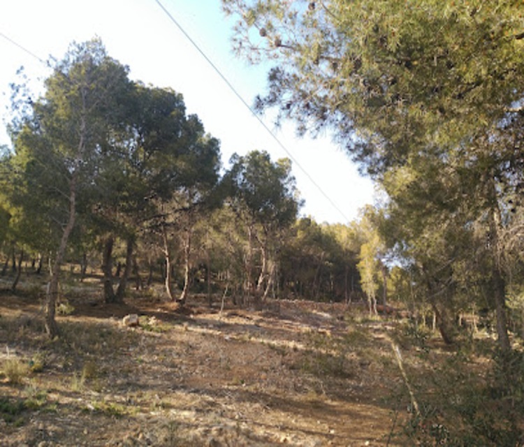 img_IMAGEN WEB_f570.jpg